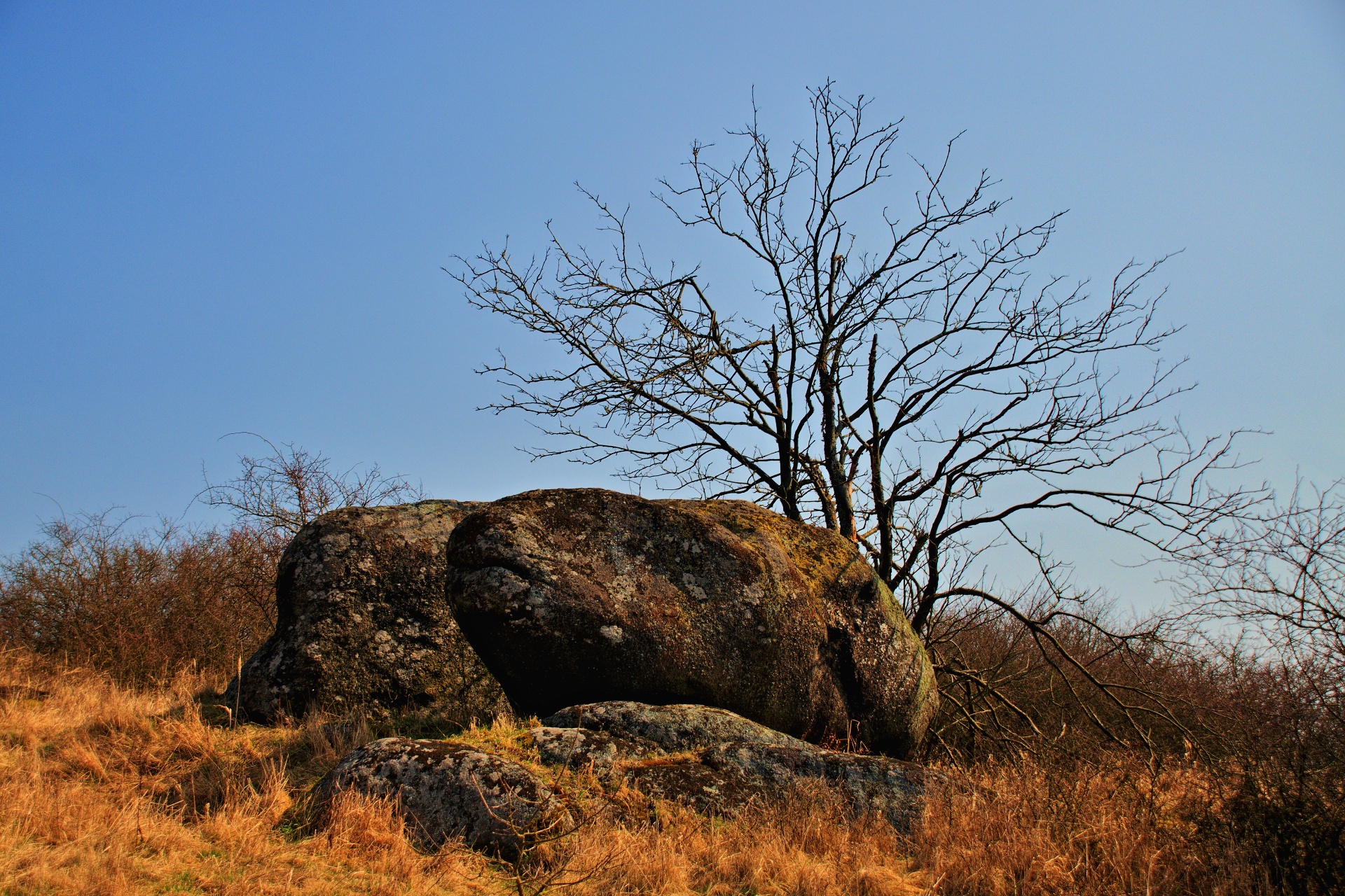 Miskové kameny poblíž Dolních Heřmanic